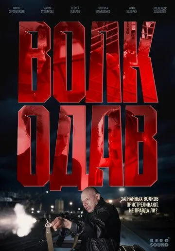 Волкодав 1-8 серия